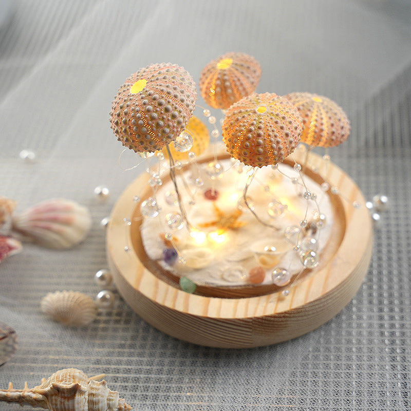 DIY Luminous Night Light with Sea Urchin Shell, Jellyfish