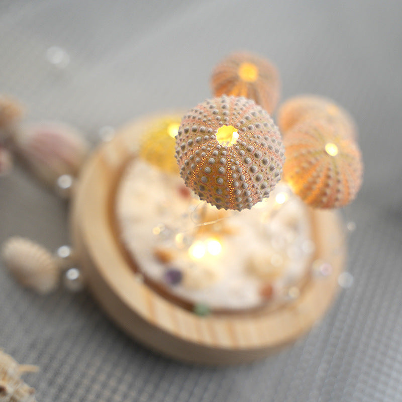 DIY Luminous Night Light with Sea Urchin Shell, Jellyfish