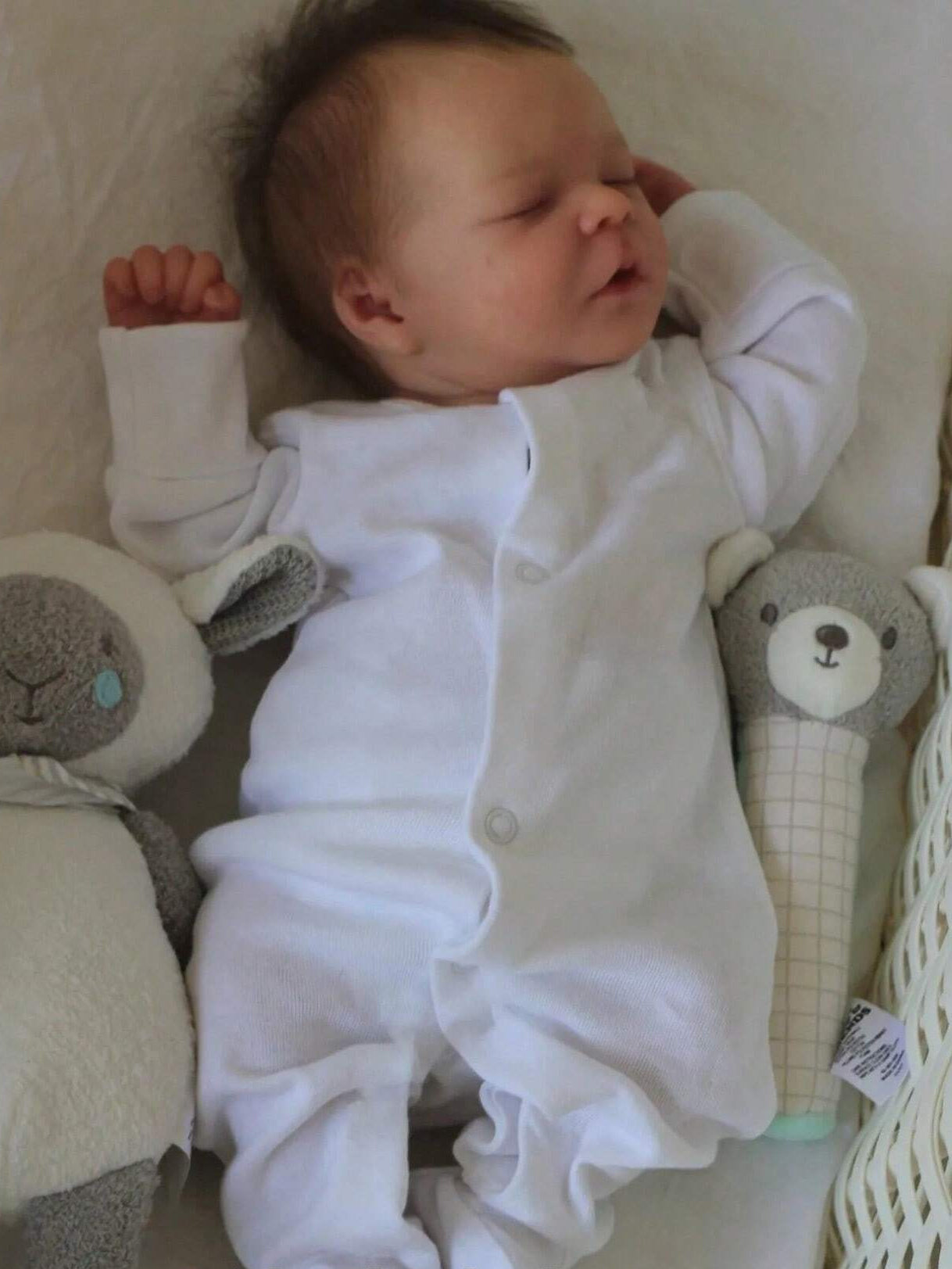 Jim Realistic 18 Inch Reborn Dolls-Darren