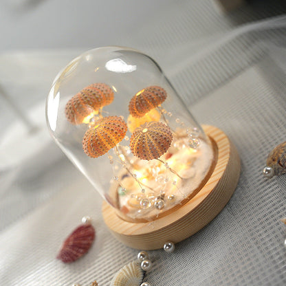 DIY Luminous Night Light with Sea Urchin Shell, Jellyfish