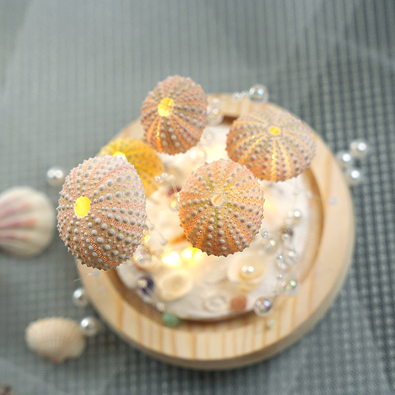 DIY Luminous Night Light with Sea Urchin Shell, Jellyfish