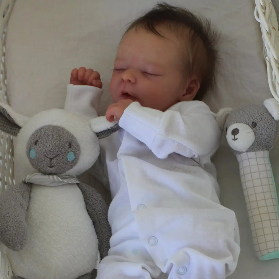 Jim Realistic 18 Inch Reborn Dolls Darren Rosydolls