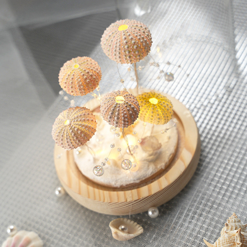 DIY Luminous Night Light with Sea Urchin Shell, Jellyfish