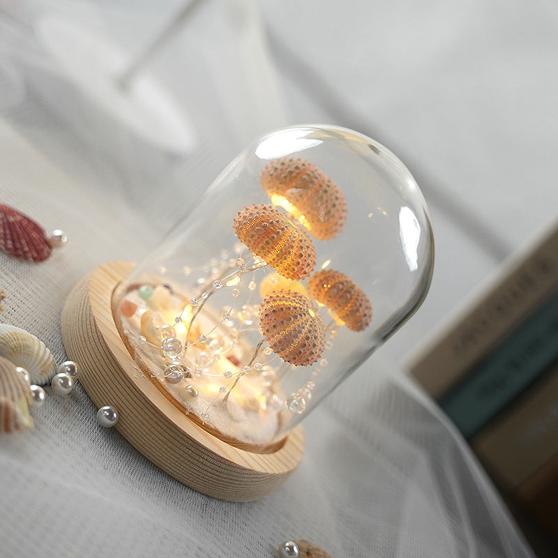 DIY Luminous Night Light with Sea Urchin Shell, Jellyfish